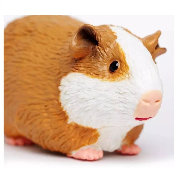 COPY - COPY - Guinea Pig Incredible Creatures Figure Safari Ltd - Picture 8 of 8